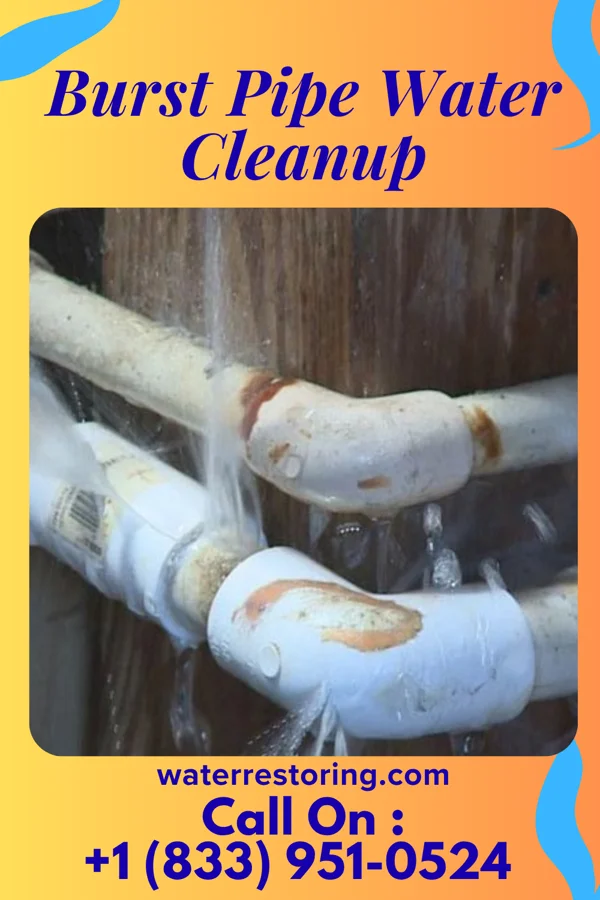 Burst Pipe Water Cleanup in Middletown, MI