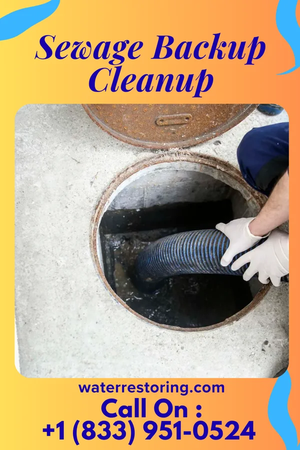 Sewage Backup Cleanup in Middletown, MI